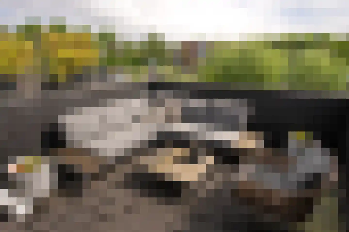 Stommeerweg 105 Aalsmeer thumbnail 18