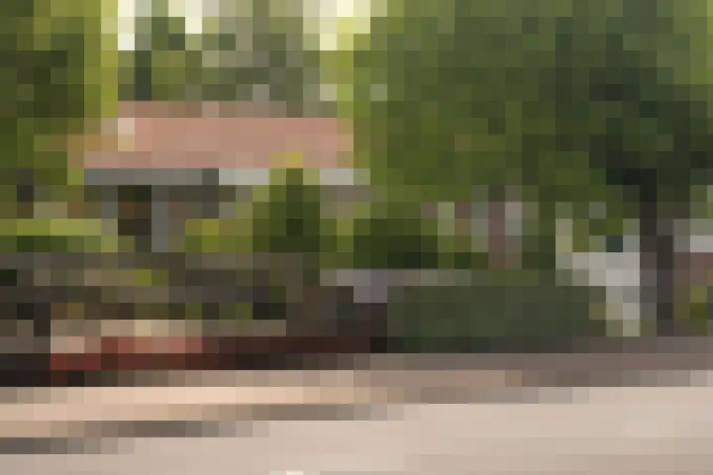 Stommeerweg 105 Aalsmeer thumbnail 38