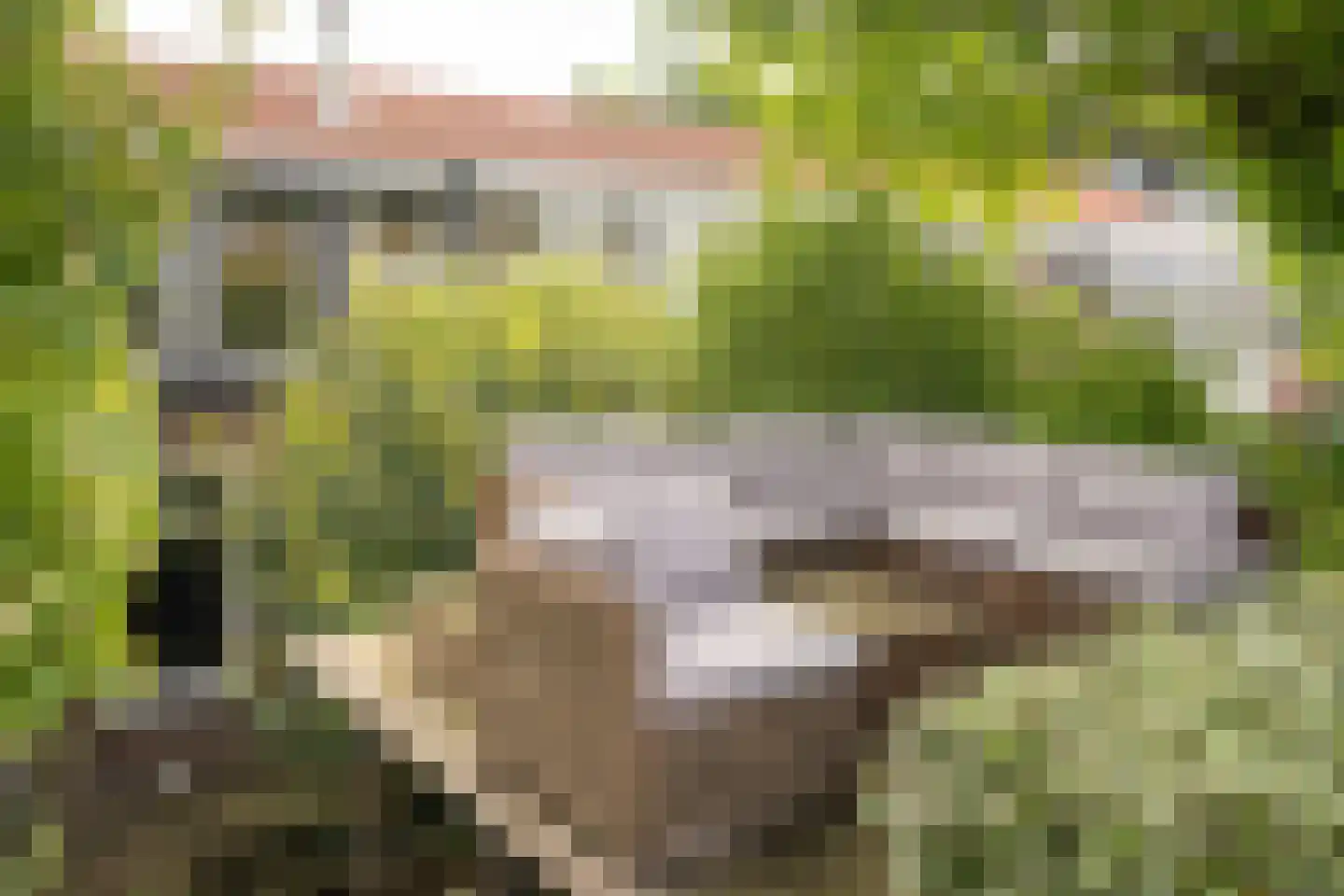 Stommeerweg 105 Aalsmeer thumbnail 40