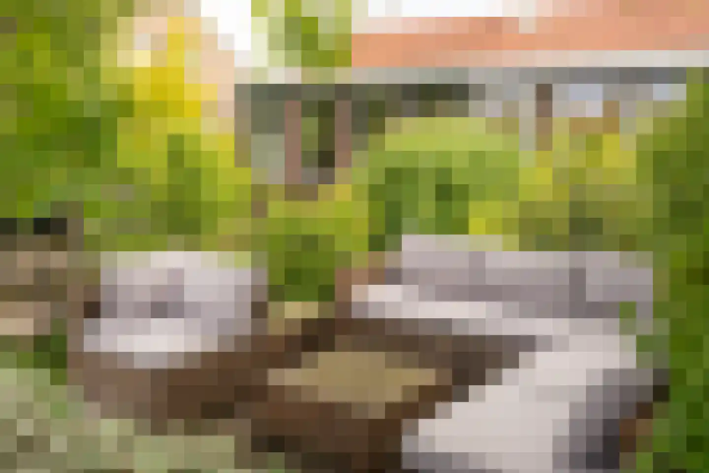 Stommeerweg 105 Aalsmeer thumbnail 41