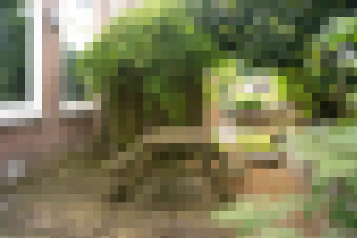Stommeerweg 105 Aalsmeer thumbnail 42
