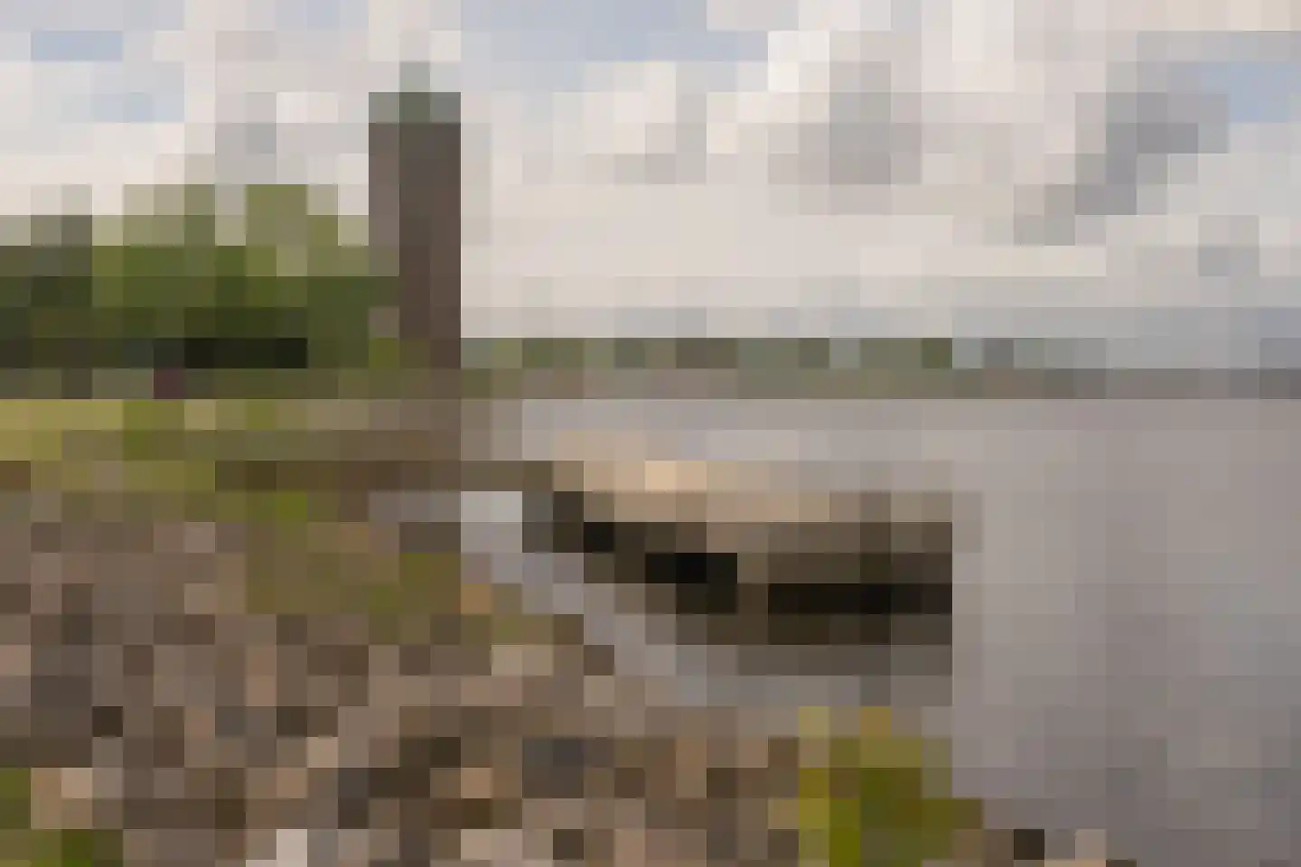 Stommeerweg 105 Aalsmeer thumbnail 52