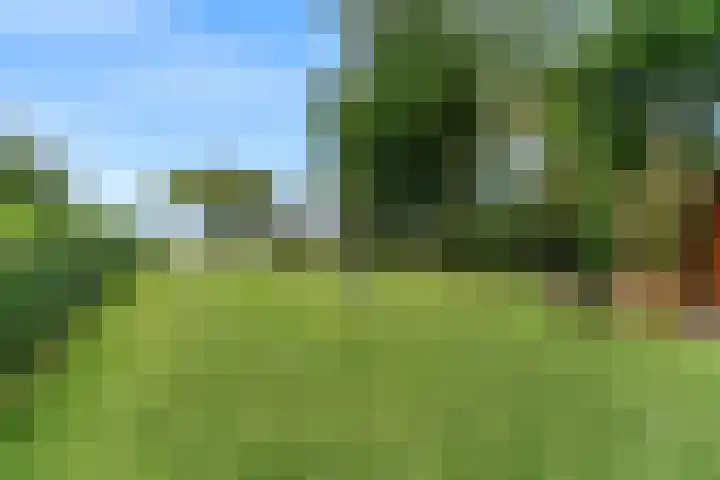 Stommeerweg 18 Aalsmeer thumbnail 46