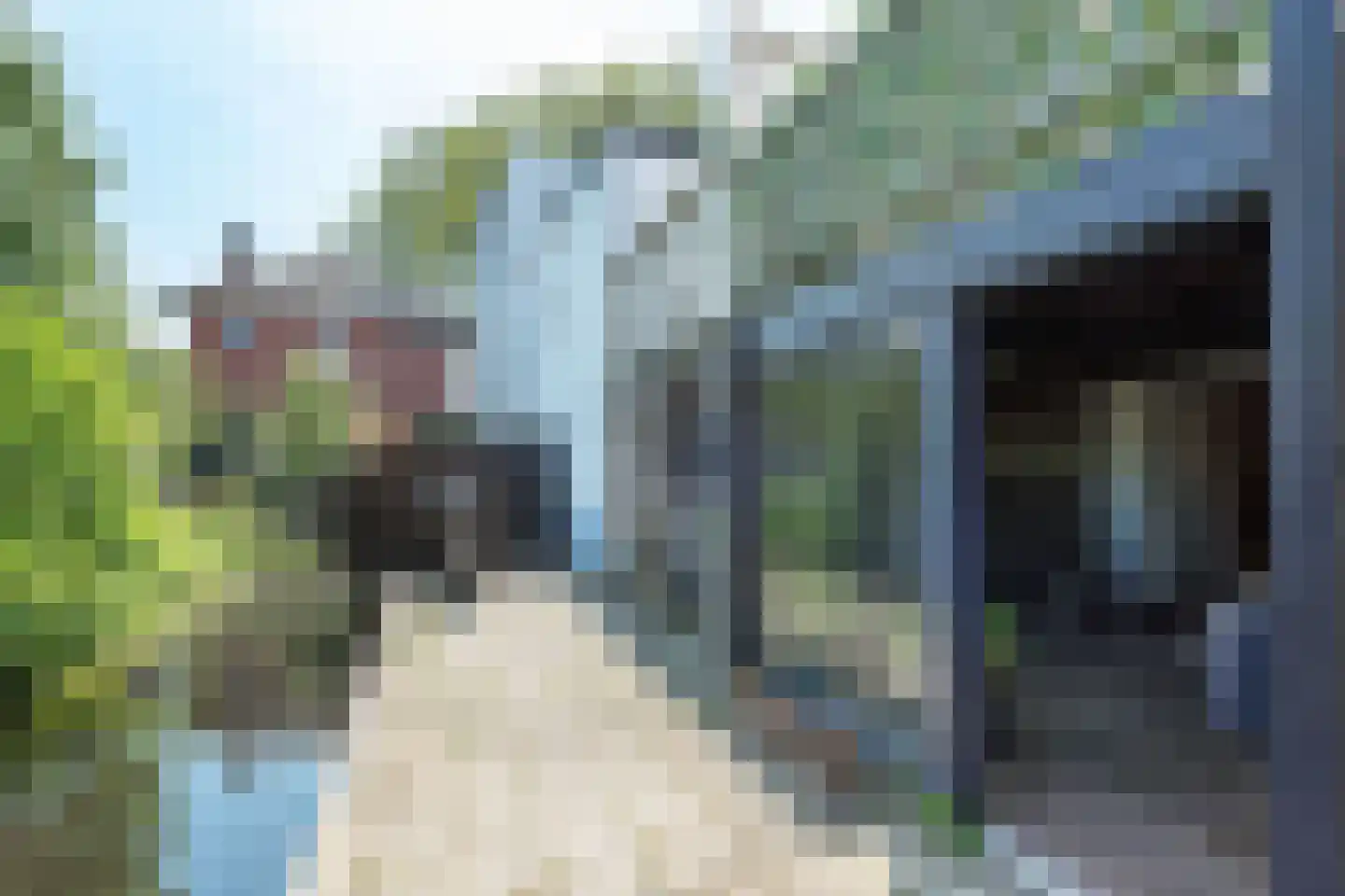 Stommeerweg 25 Aalsmeer thumbnail 17