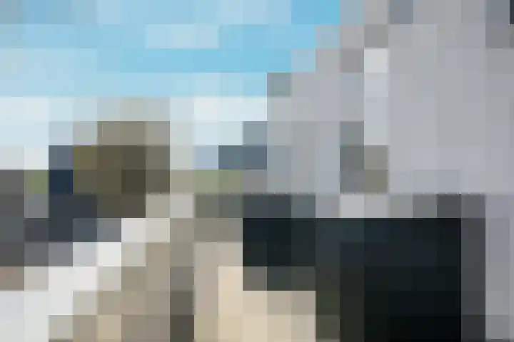 Stommeerweg 31 a Aalsmeer thumbnail 21