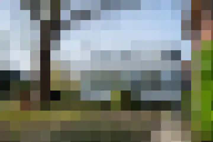 Stommeerweg 31 a Aalsmeer thumbnail 35