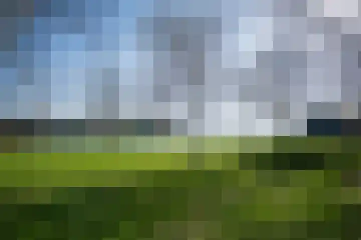 Stommeerweg 31 a Aalsmeer thumbnail 37
