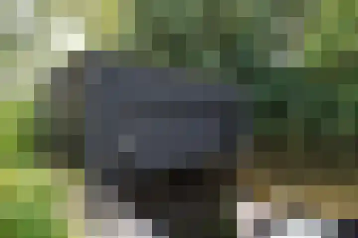 Stommeerweg 36 Aalsmeer thumbnail 10