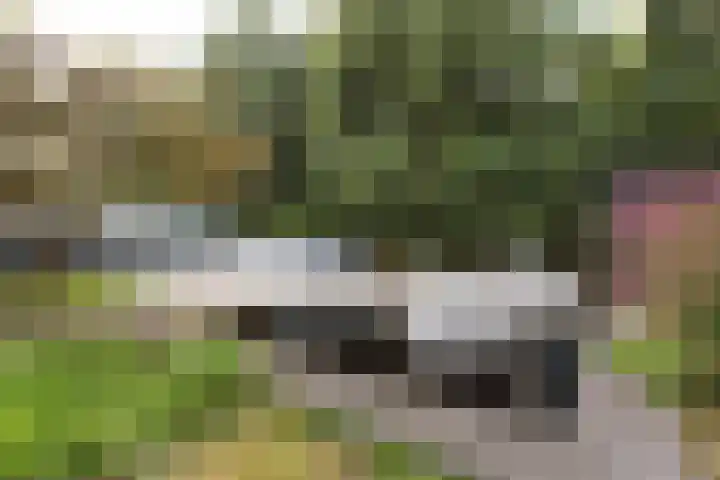 Stommeerweg 36 Aalsmeer thumbnail 12