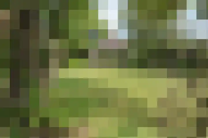 Stommeerweg 36 Aalsmeer thumbnail 13