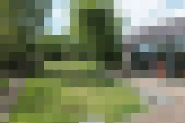 Stommeerweg 36 Aalsmeer thumbnail 4