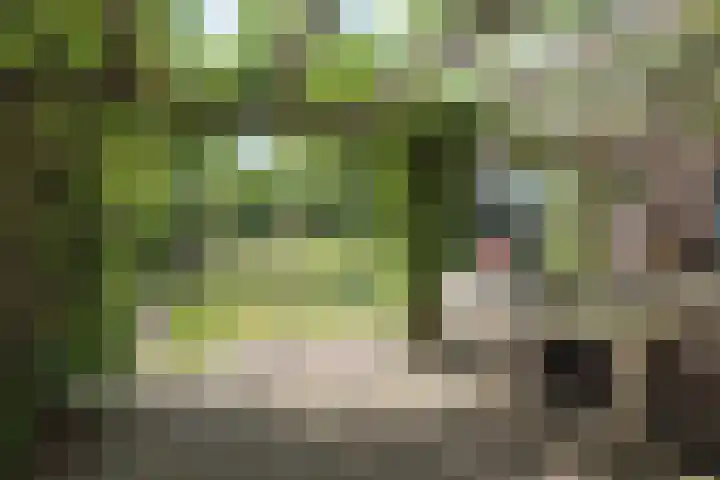 Stommeerweg 36 Aalsmeer thumbnail 6