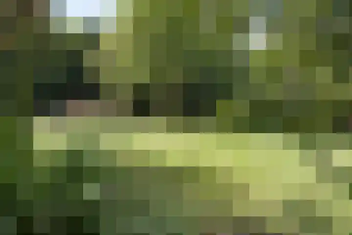 Stommeerweg 36 Aalsmeer thumbnail 7