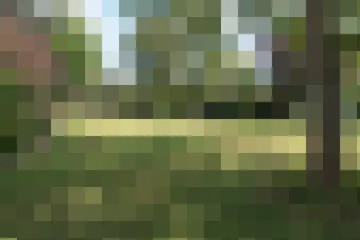 Stommeerweg 36 Aalsmeer thumbnail 8