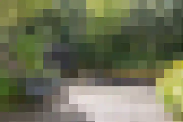 Stommeerweg 36 Aalsmeer thumbnail 9