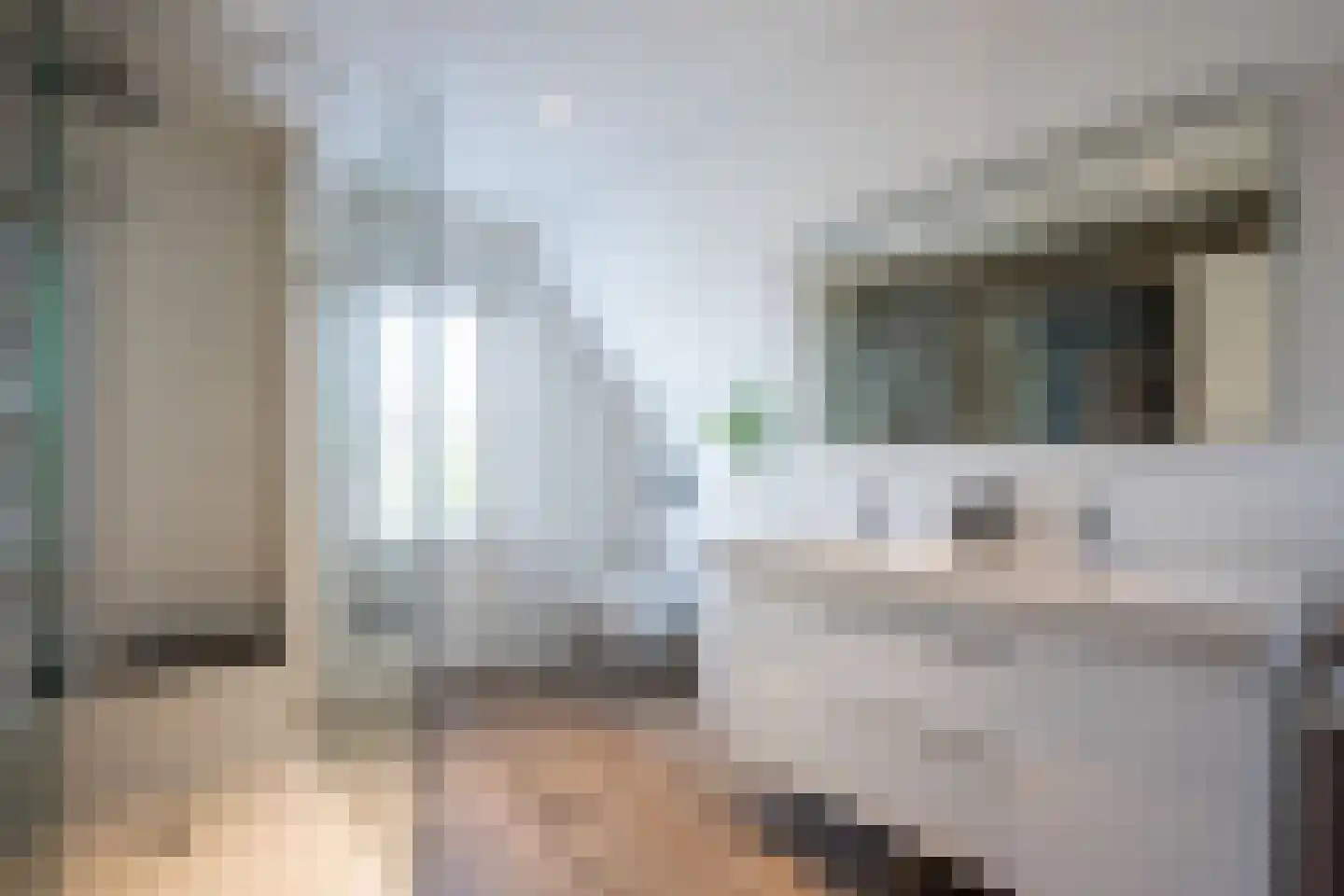Stommeerweg 62 Aalsmeer thumbnail 32