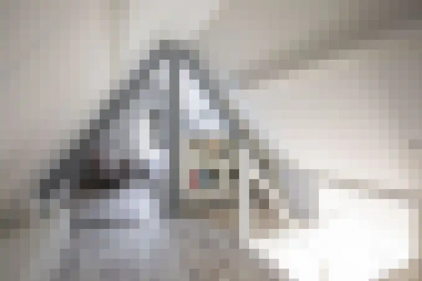 Stommeerweg 62 Aalsmeer thumbnail 36