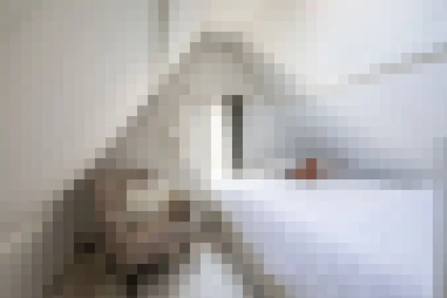 Stommeerweg 62 Aalsmeer thumbnail 37