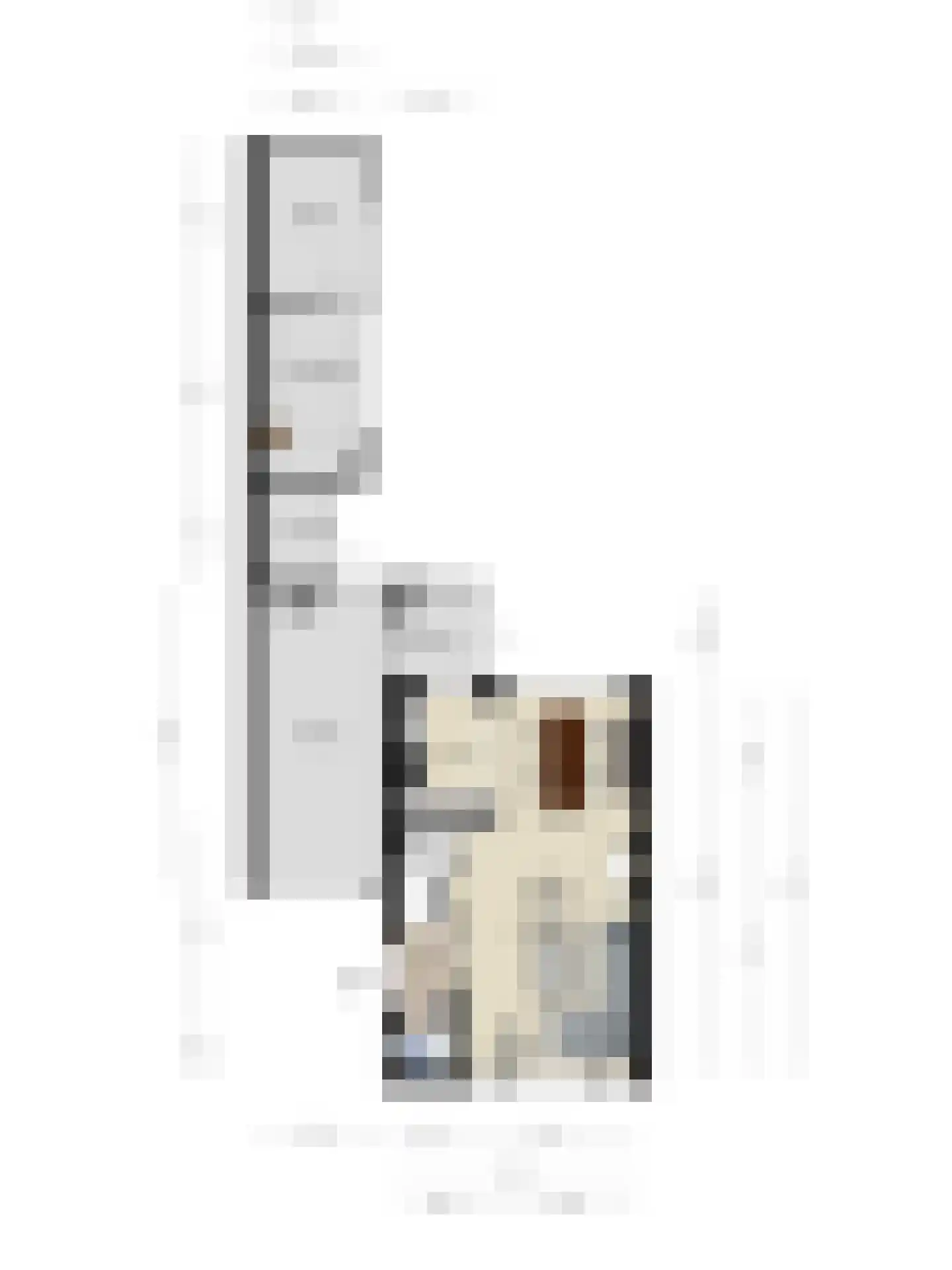 Stompe Torenlaan 5 Woensdrecht thumbnail 46