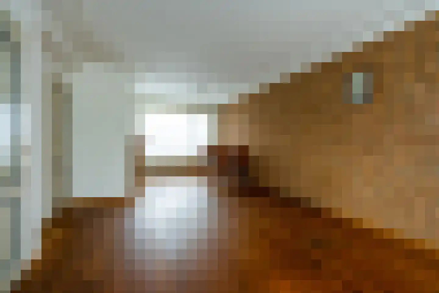 Stompe Torenlaan 8 Woensdrecht thumbnail 5