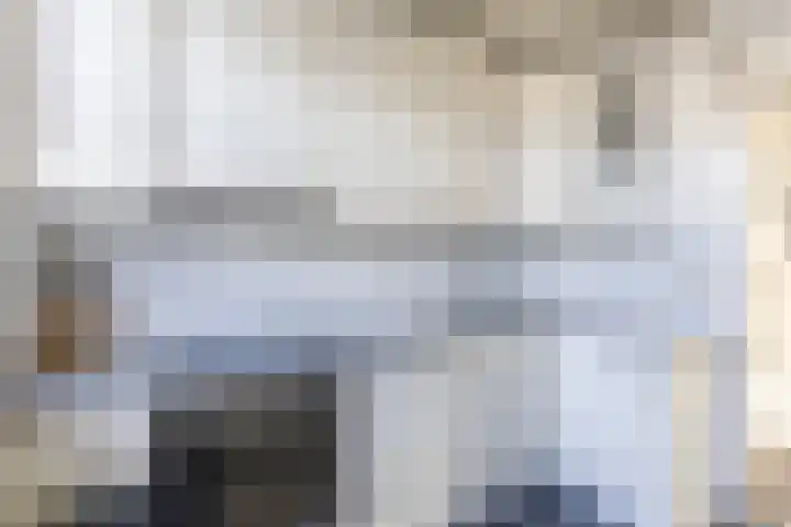 Stompersdijk 3 Honselersdijk thumbnail 10