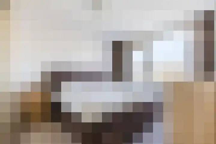Stompersdijk 3 Honselersdijk thumbnail 11