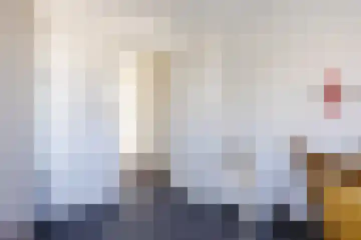 Stompersdijk 3 Honselersdijk thumbnail 14