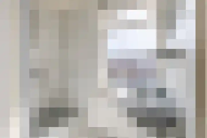 Stompersdijk 3 Honselersdijk thumbnail 15