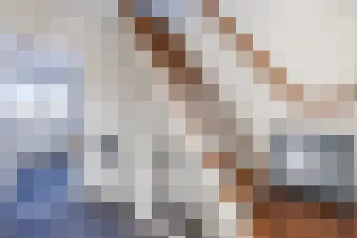 Stompersdijk 3 Honselersdijk thumbnail 16