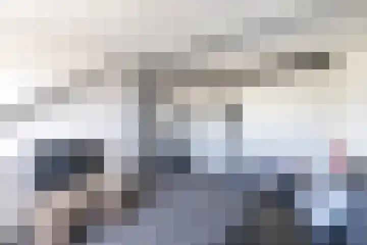 Stompersdijk 3 Honselersdijk thumbnail 19
