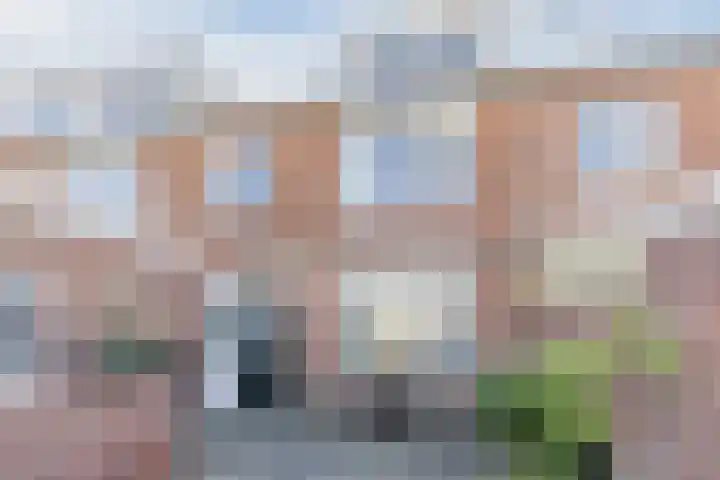 Stompersdijk 3 Honselersdijk thumbnail 22