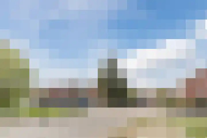 Stompersdijk 3 Honselersdijk thumbnail 24