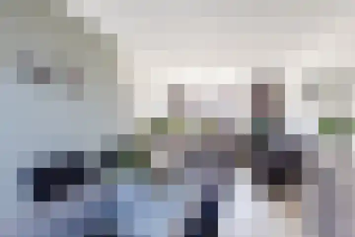 Stompersdijk 3 Honselersdijk thumbnail 8