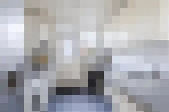 Stompersdijk 3 Honselersdijk thumbnail 9