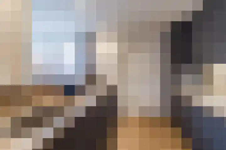 Stompersdijk 7 Honselersdijk thumbnail 11