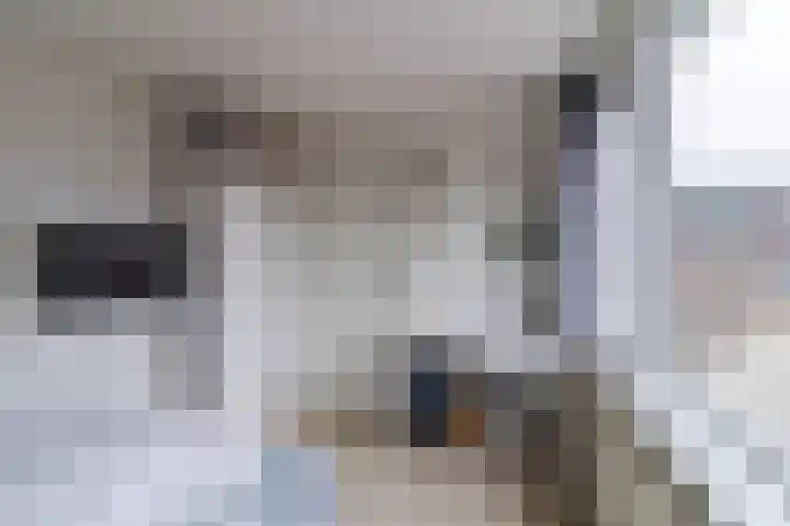 Stompersdijk 7 Honselersdijk thumbnail 19
