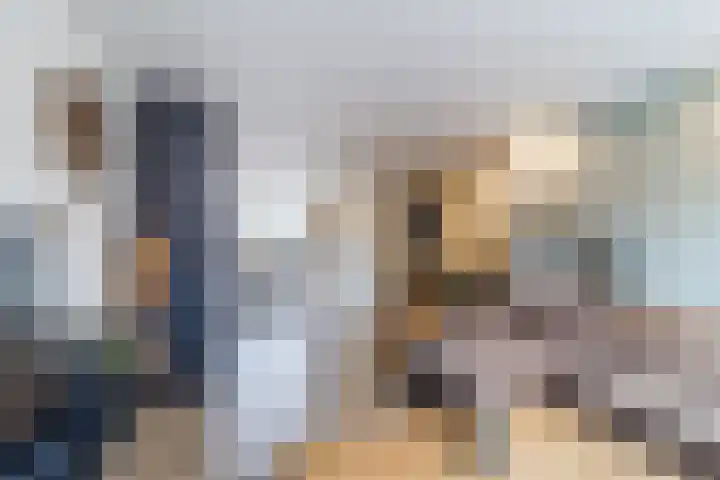 Stompersdijk 7 Honselersdijk thumbnail 5