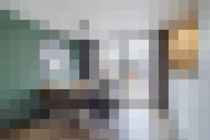 Stompersdijk 7 Honselersdijk thumbnail 8
