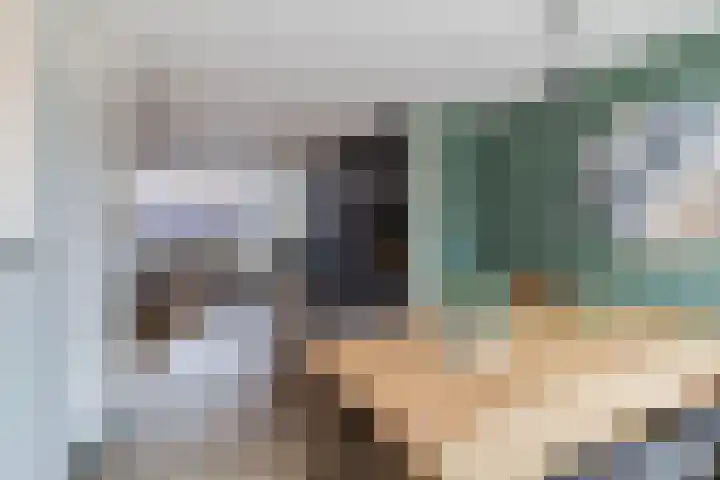 Stompersdijk 7 Honselersdijk thumbnail 9