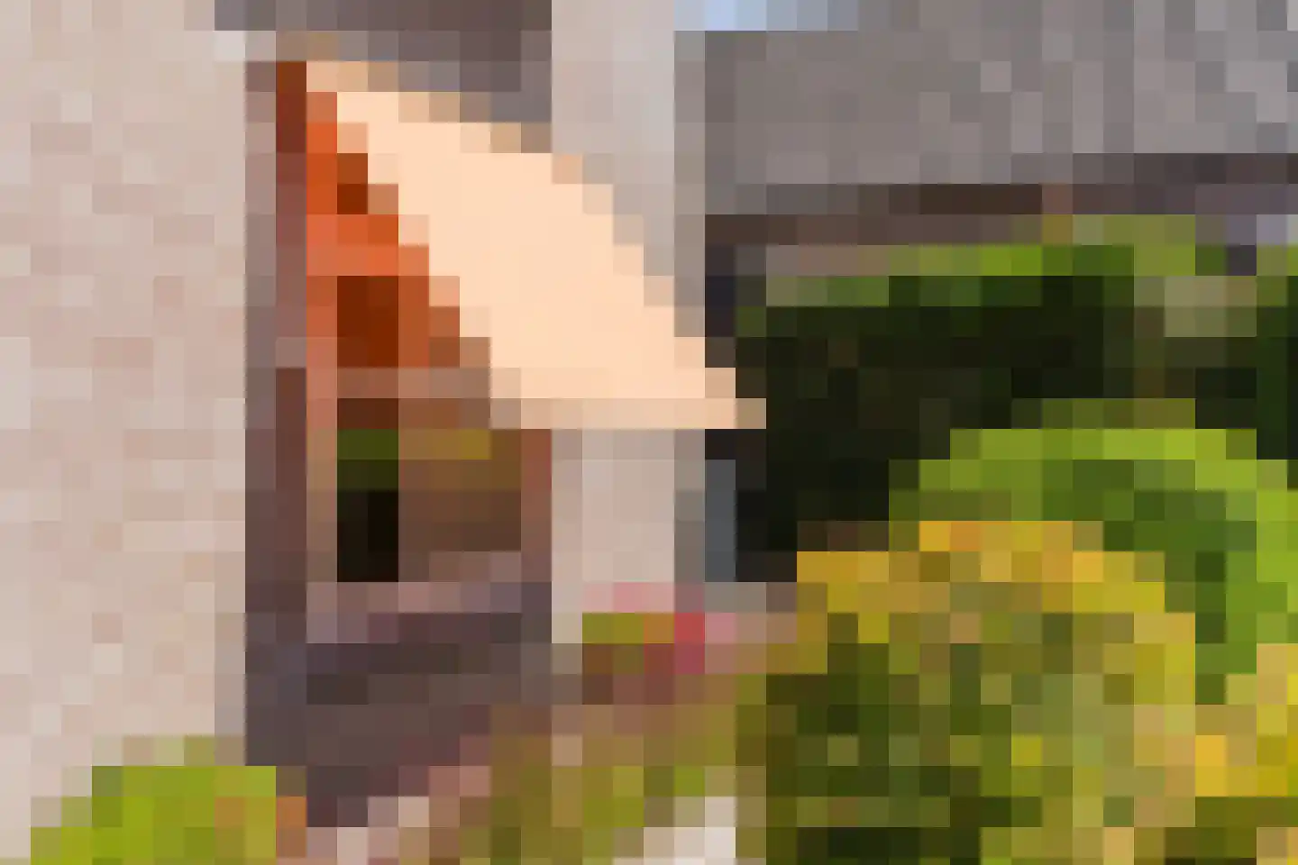 Stompersstraat 2 a Sint-Oedenrode thumbnail 13