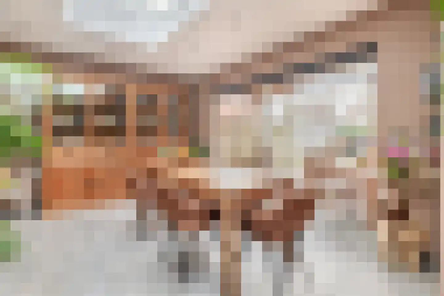 Stompersstraat 29 Sint-Oedenrode thumbnail 13