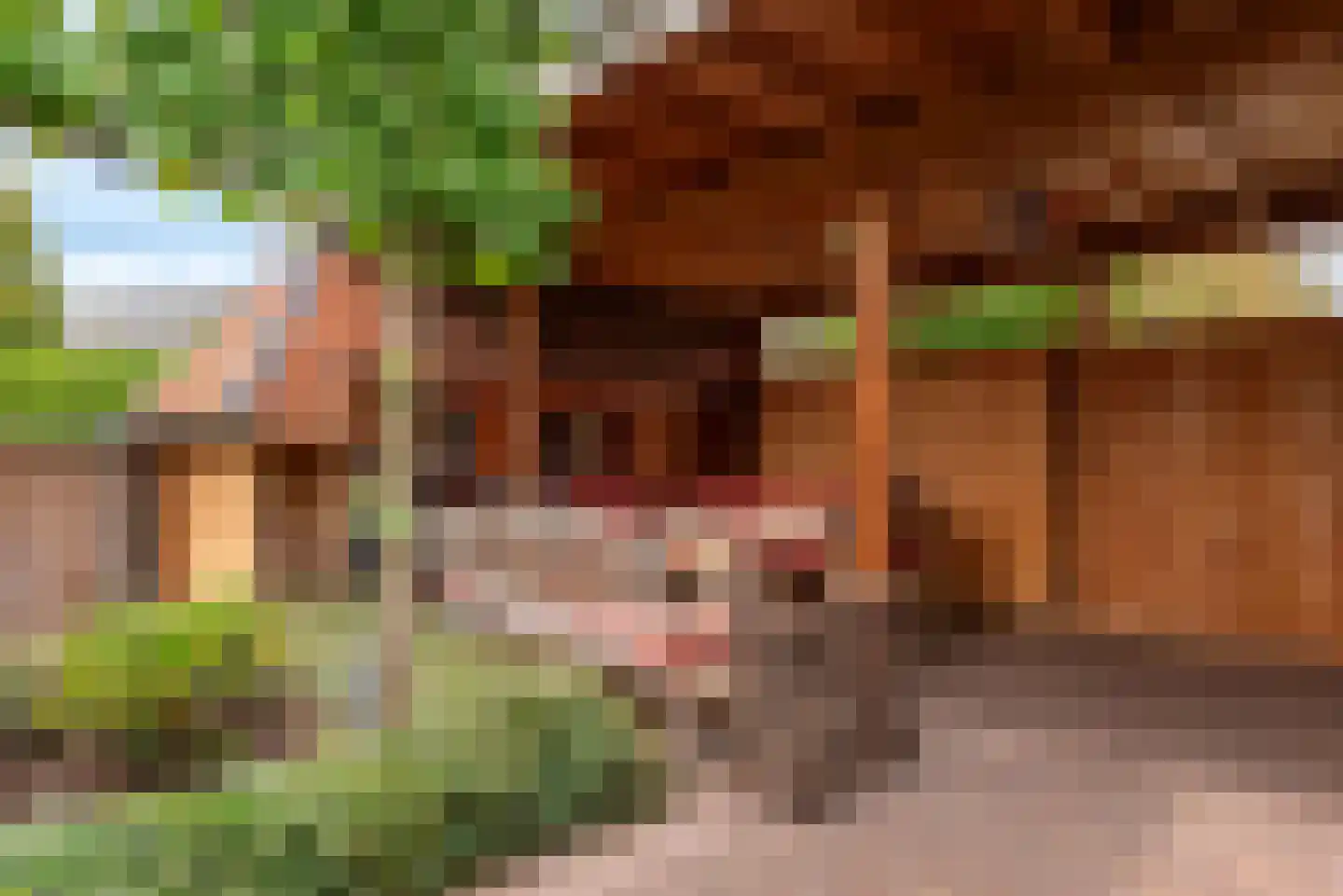 Stompersstraat 29 Sint-Oedenrode thumbnail 31