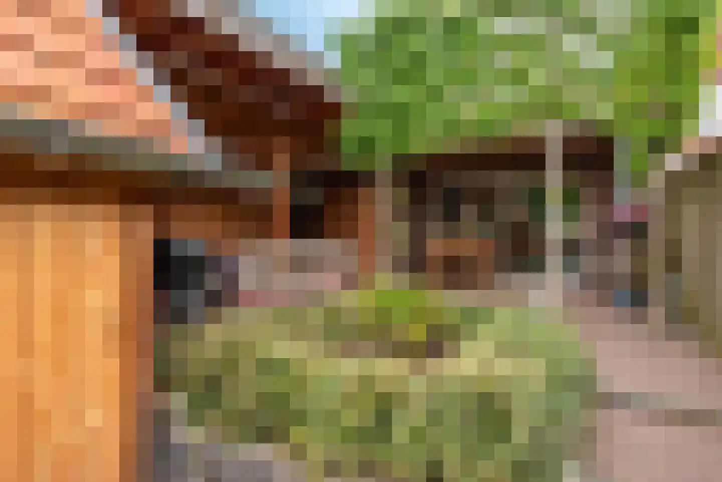 Stompersstraat 29 Sint-Oedenrode thumbnail 39