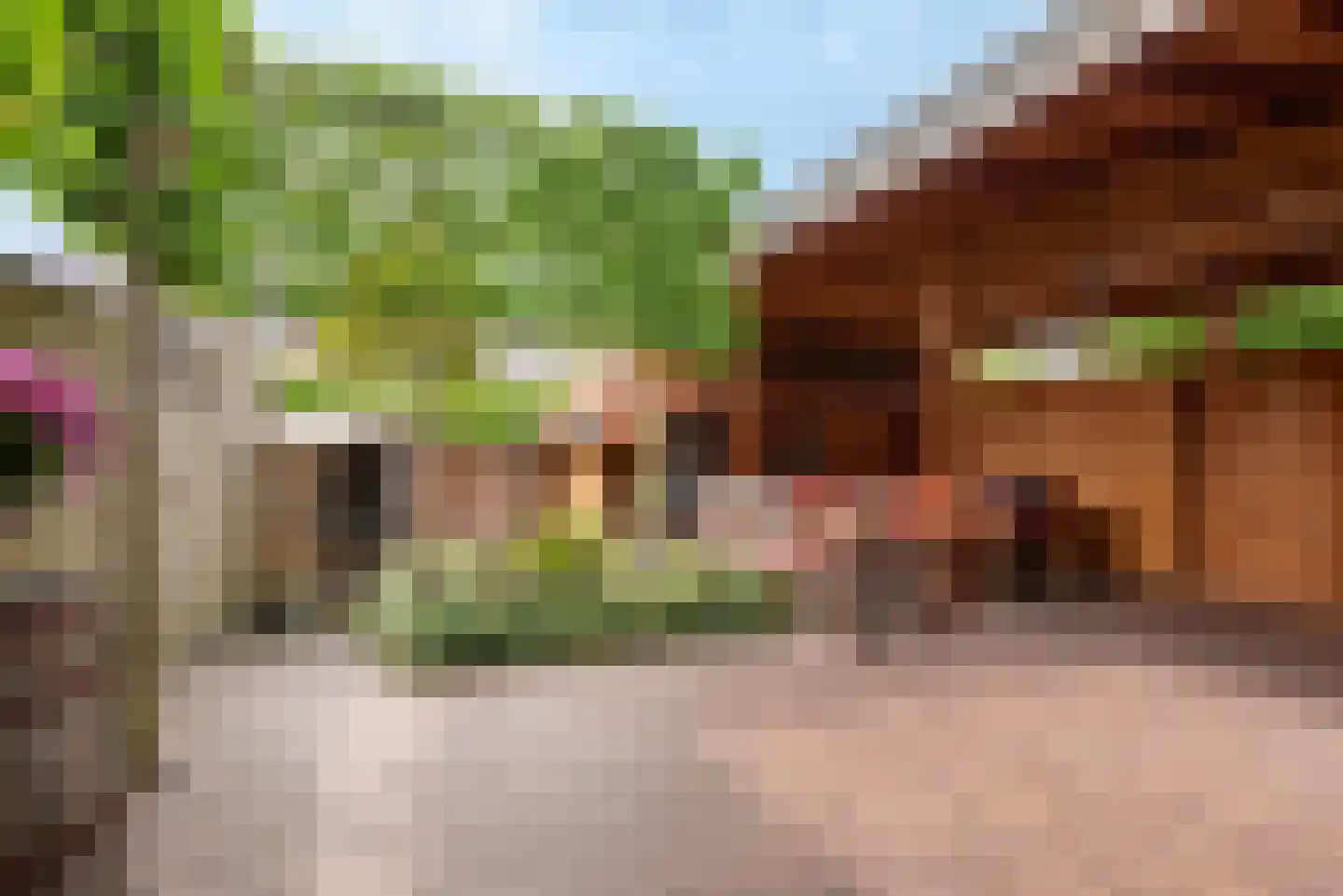 Stompersstraat 29 Sint-Oedenrode thumbnail 4