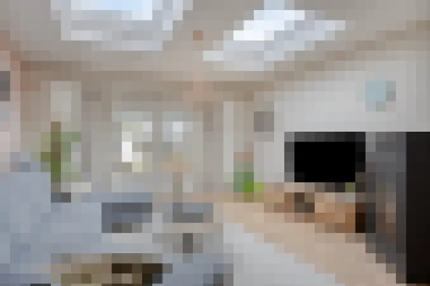 Stompersstraat 30 Sint-Oedenrode thumbnail 20