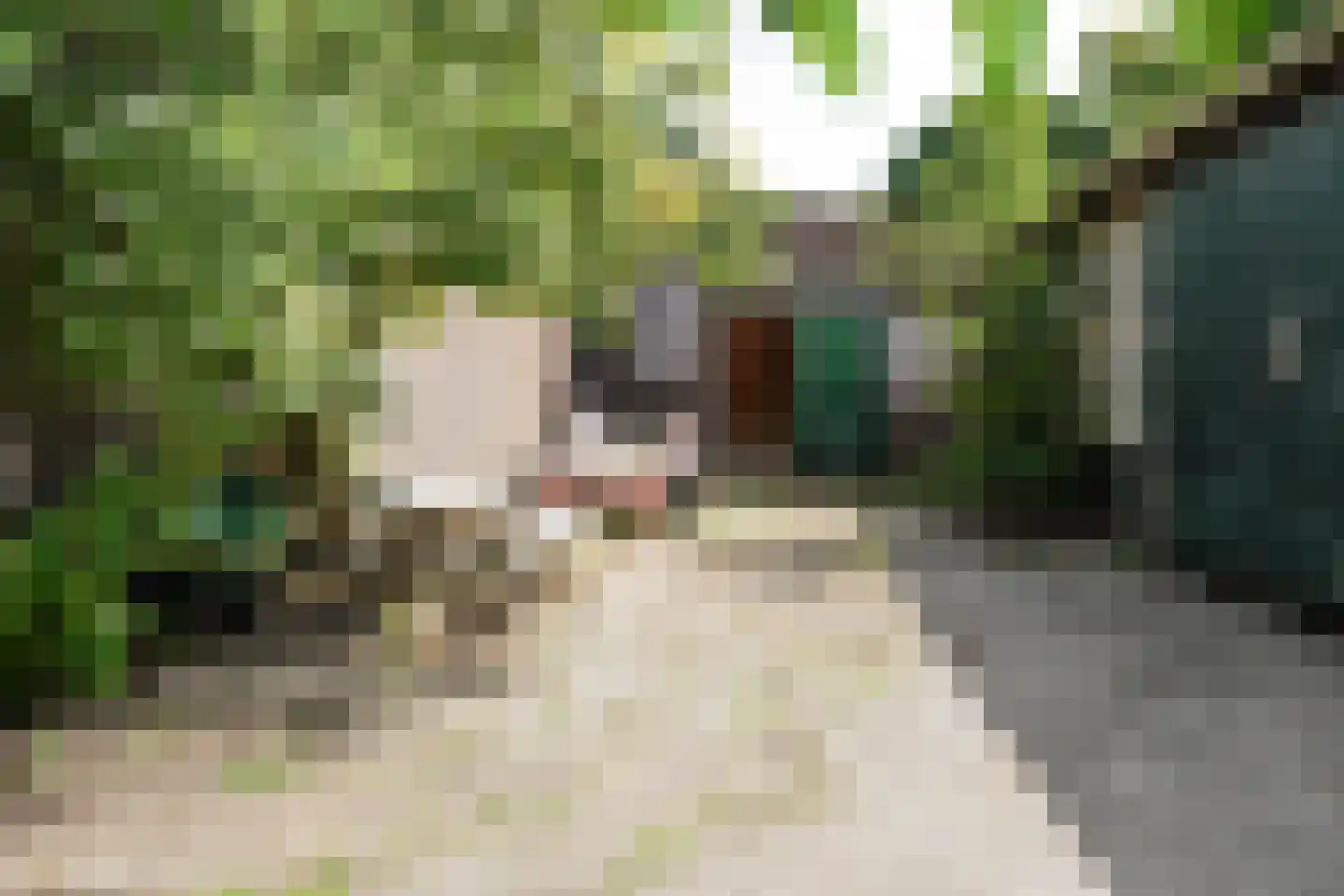 Stompwijkseweg 27 Leidschendam thumbnail 41