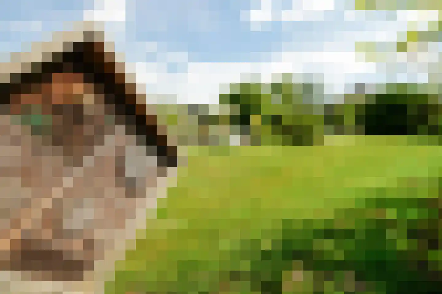 Stompwijkseweg 27 Leidschendam thumbnail 47