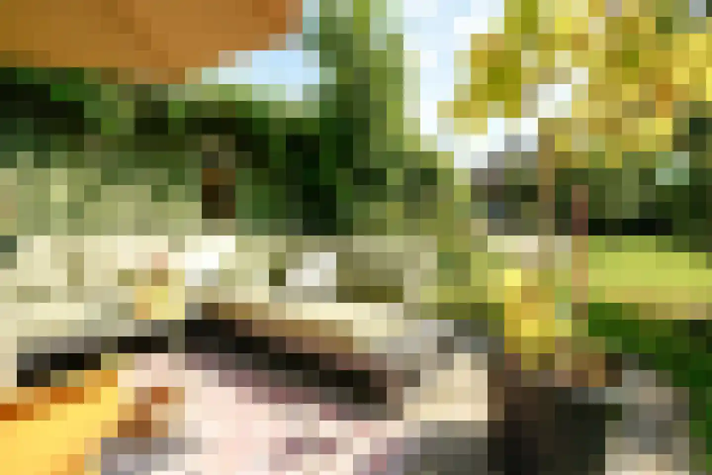 Stompwijkseweg 27 Leidschendam thumbnail 51