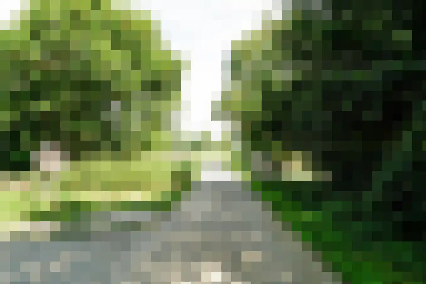 Stompwijkseweg 27 Leidschendam thumbnail 53