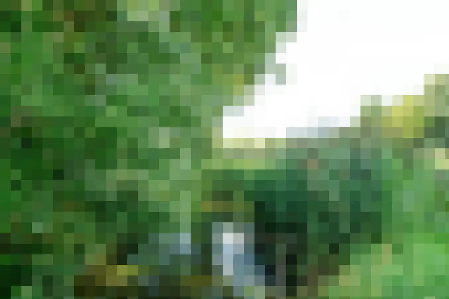 Stompwijkseweg 27 Leidschendam thumbnail 54